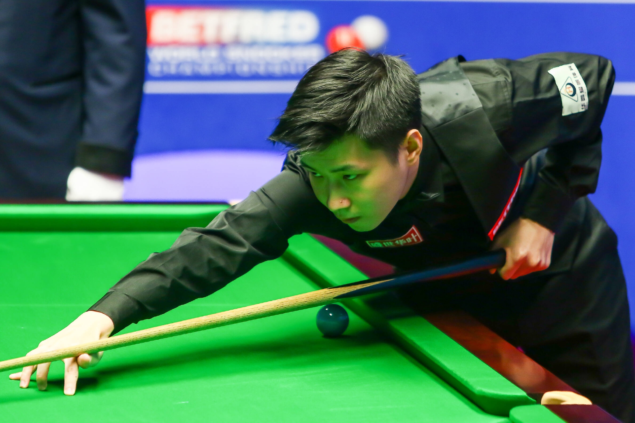 领域带来新 领域带来新