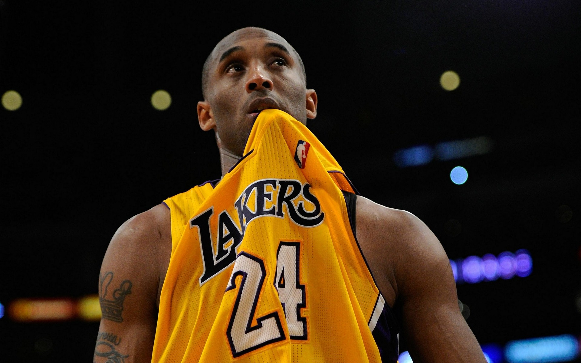 am最畅销 am最畅销